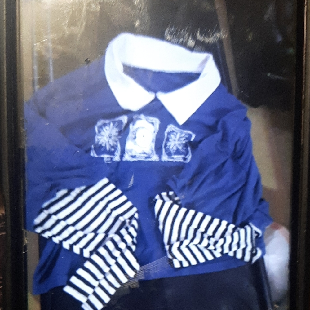 SHEIN Navy and White Long Sleeve Tee